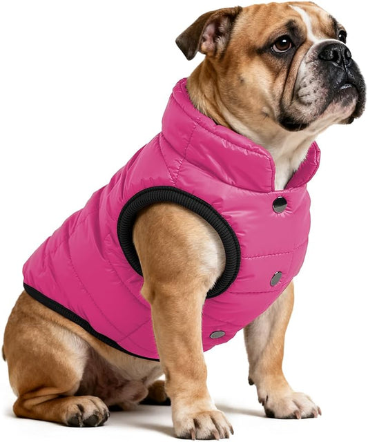 AURUZA Dog Winter Coat, Warm Waterproof Dogs Jacket Small Pet Vest for Medium Dogs Windproof Pet Fleece Vest Snow Jacket for Cold Weather(Hot Pink,M)