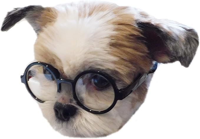 G015 Dog Cat Pet Costume Glasses Goggles for Small Breeds up to 15lbs (Round Black-Clear Lens)