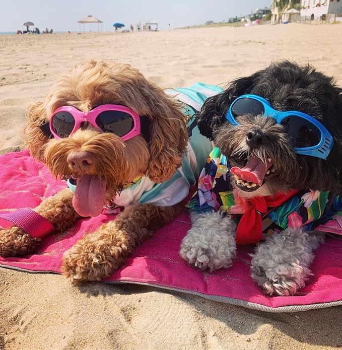 NAMSAN Dog Goggles for Small to Medium Dogs, Dog Sunglasses UV Protection for Medium Dogs Outdoor Cycling Driving, Small Puppy Glasses Dog Eye Protection, Anti-Fog Windproof, Adjustable, Pink