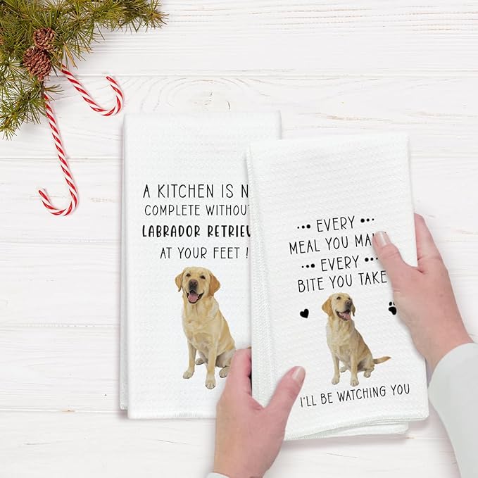 Funny Labrador Dish Towels for Kitchen Sets of 2, Gifts for Labrador Dog Lover, Drying Cloth Tea Towel Hand Towels for Cooking Baking Bathroom Decor, 16 x 24 Inch -20