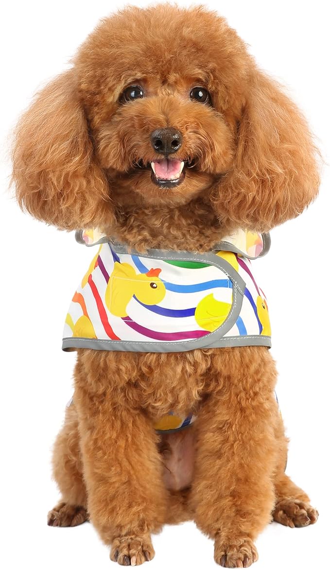 Dog Raincoat for Small Dogs Puppies Waterproof Jacket Hooded Rain Coats with Reflective Strips Leash Hole & Poncho Adjustable Fit (Rainbow,XS)