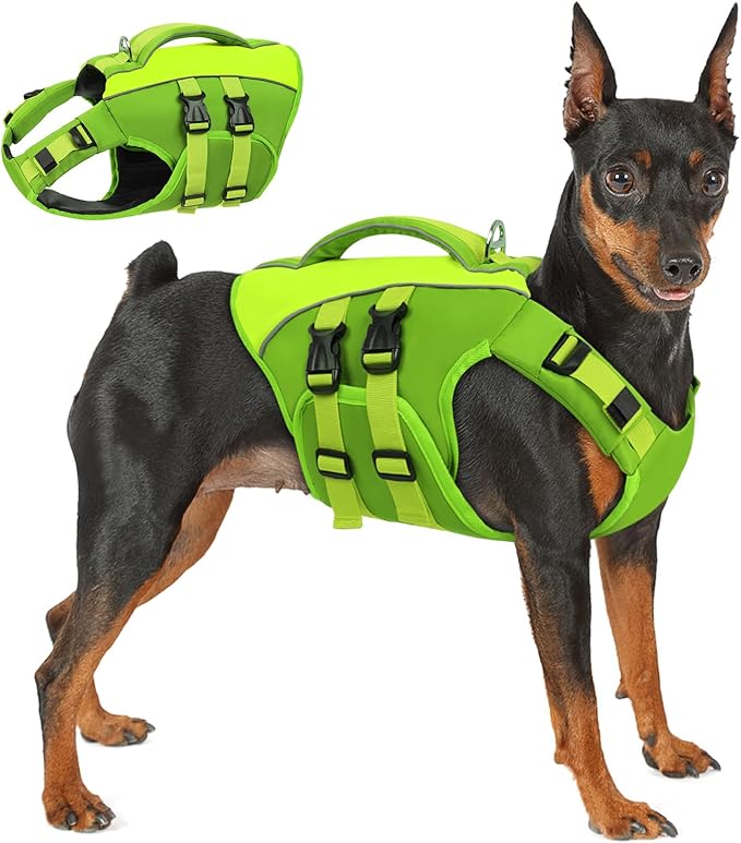 Queenmore Green X-Large Dog Life Jacket, Adjustable Reflective Dog Swimming Vest, Superior Buoyancy, High Floating Pet Life Vest for Swimming