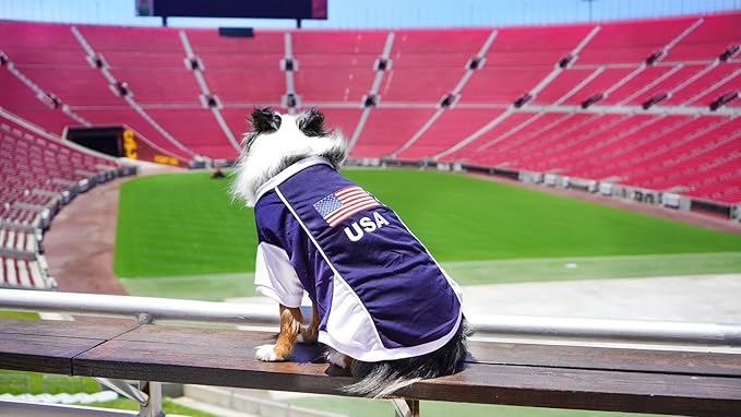 Parisian USA Dog Jersey - Breathable Mesh Puppy Football Jersey - Lightweight Stretch Sporty Dog Clothes - Summer Shirts for Large Dogs - Soccer Jersey for Dogs - Sportswear Pet Clothes