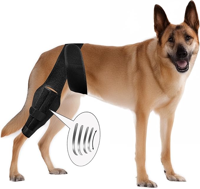 New Dog Knee Brace for Luxating Patella, ACL or Cruciate Ligament Injury Recovery, Osteoarthritis, Hip Dysplasia, or Arthritis Pain Relief, Flexible Spring Support (Large), Black