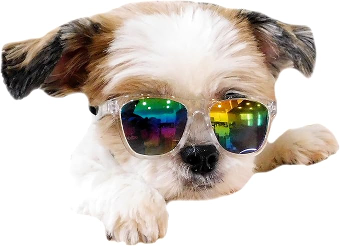 G014 Dog Cat Pet 80s Sunglasses Goggles for Small Breeds up to 15lbs (2-Pack Black-Rainbow mr+Crystal Clear-Rainbow mr)