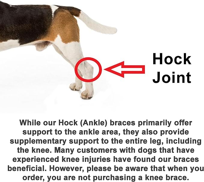 Doggie Stylz Dog Leg Braces for Back Leg Adjustable Dog Hock Brace for ACL Tear Recovery Arthritis Mobility Support Premium Leg Brace for Dogs Back Leg Dog Knee Braces for Back Leg Comfort Stability