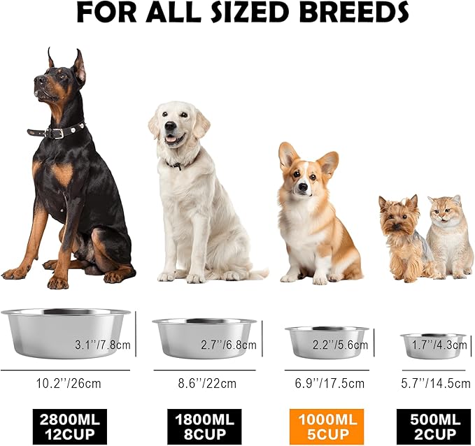 Stainless Steel Dog Bowls with Mat - Nonslip EVA Rubber Bottom, Food & Water Bowl for Dogs, Cats - Dishwasher Safe