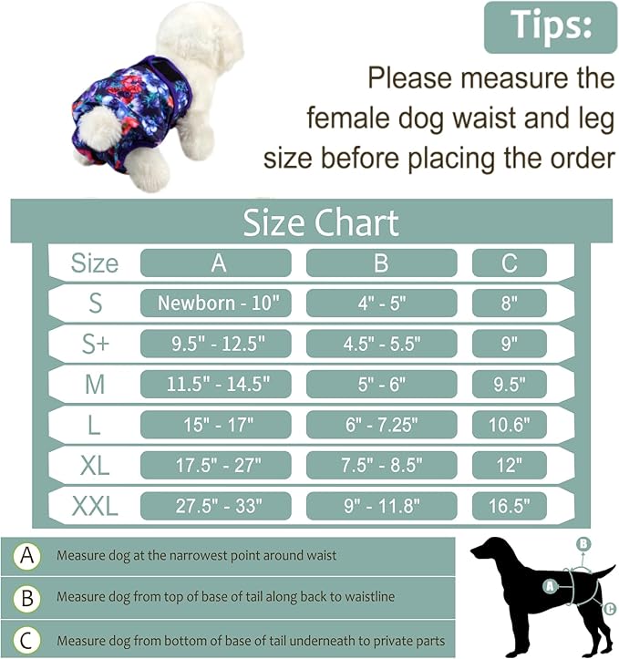 Washable Female Dog Diapers (5 Pack) - Doggie Reusable Small Medium Large Dog Diapers for Doggy Puppy Female in Period - Highly Absorbent Dog Heat Panties,S Plus,Rose