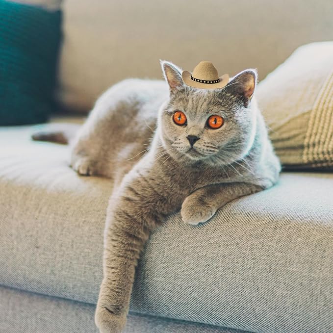 Dog Cowboy Hat Cat Cowboy Hat Mini Cowboy Hat for Dogs Cat Pet Cowboy Costume with Bandana Scarf Holiday Halloween Pet Party Decoration (Khaki, Small)