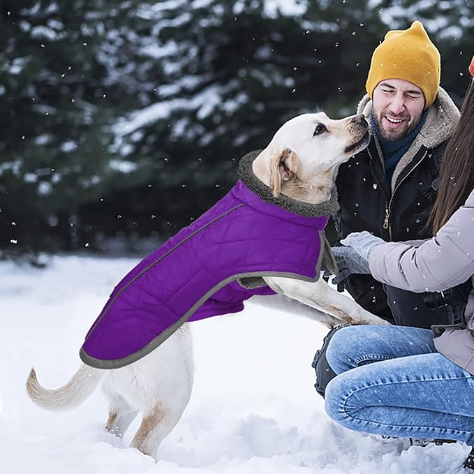 Fragralley Dog Coat Large, Waterproof Dog Jacket with Warm Fleece Lining, Adjustable Reflective Dogs Winter Coat, Turtleneck Pet Coats for Cold Weather (Purple XL)