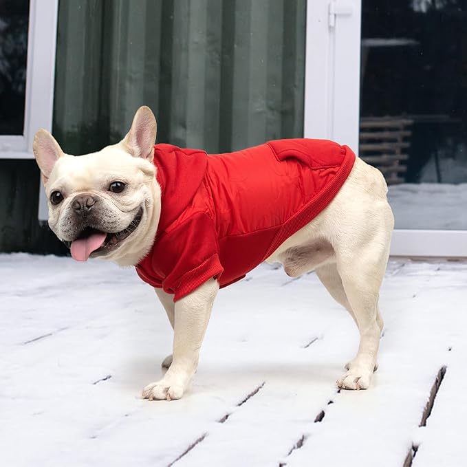 KOOLTAIL Warm Dog Winter Coat for Small Dogs, Waterproof Puppy Jacket with Leash Hole,Cold Weather Pet Vest for Winter, Soft Hoodie Sweater Sweatshirt Clothes Outfit for Puppy Cats Girls Boys Red M