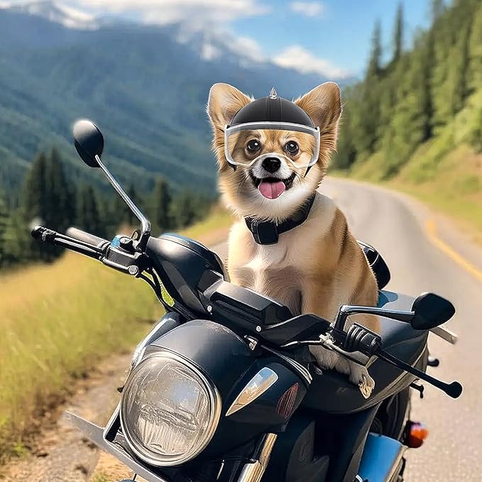 PETLESO Small Dog Helmet, Pet Motorcycle Helmet with Ear Holes, Adjustable Pet Safety Hat with Flip-Up Clear Visor, Small-Medium Puppy Heads Protection, Spiked