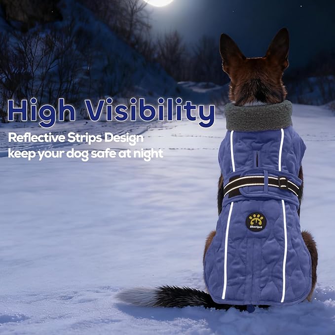 Dog Winter Jacket, Adjustable Water-Resistant Dog Warm Coat with Fleece Lining, Windproof Cold Weather Coats for Winter, Reflective Snow Jacket for Labrador Golden Retriever, NewBlue XL