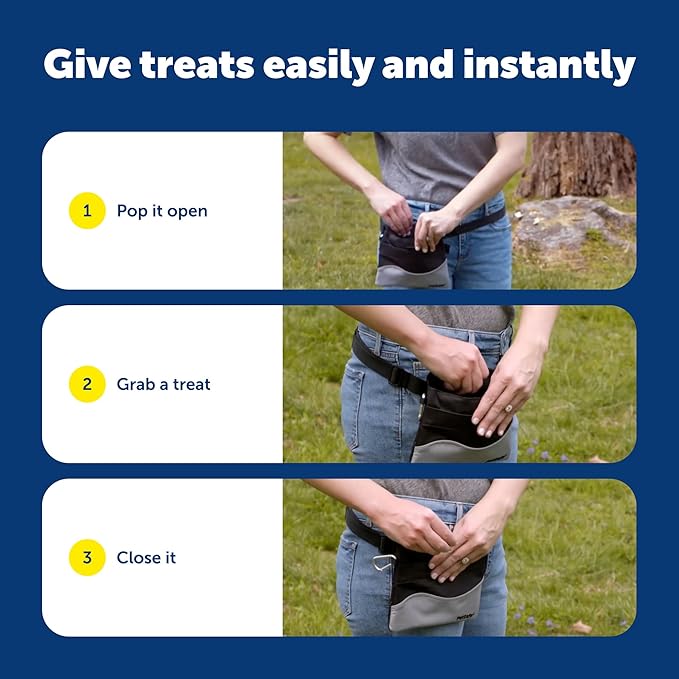 PetSafe Treat Pouch Sport - Easy Access Waterproof Treat Pouch for Daily Use - Convenient Phone & Keys Carry with Divided Inner Pocket & Front Storage Pocket - Adjustable Fit - Standard - Black