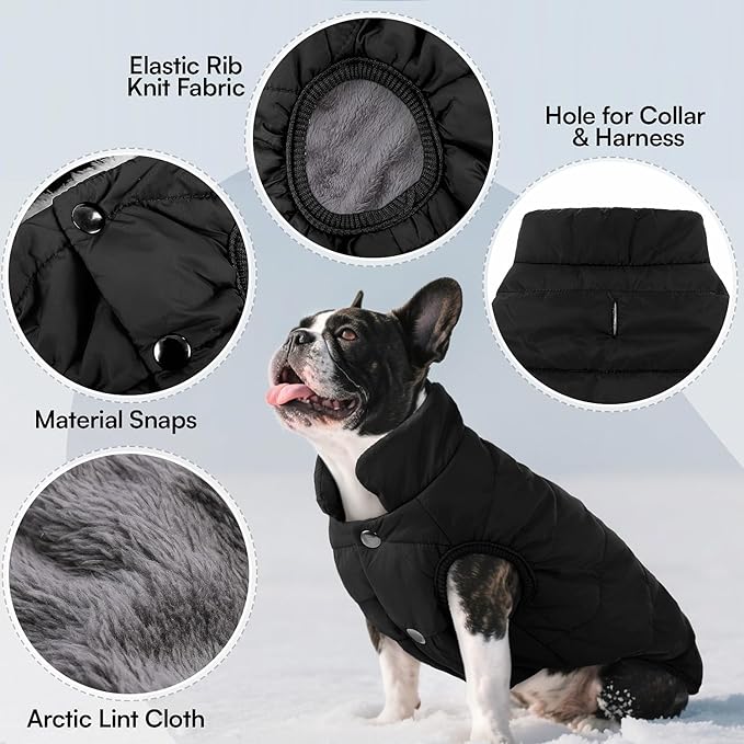 ASENKU Windproof Dog Winter Coat Waterproof Fleece Jacket Cold Weather Pet Apparel for Small Medium Large Dogs (Black, 2XL)