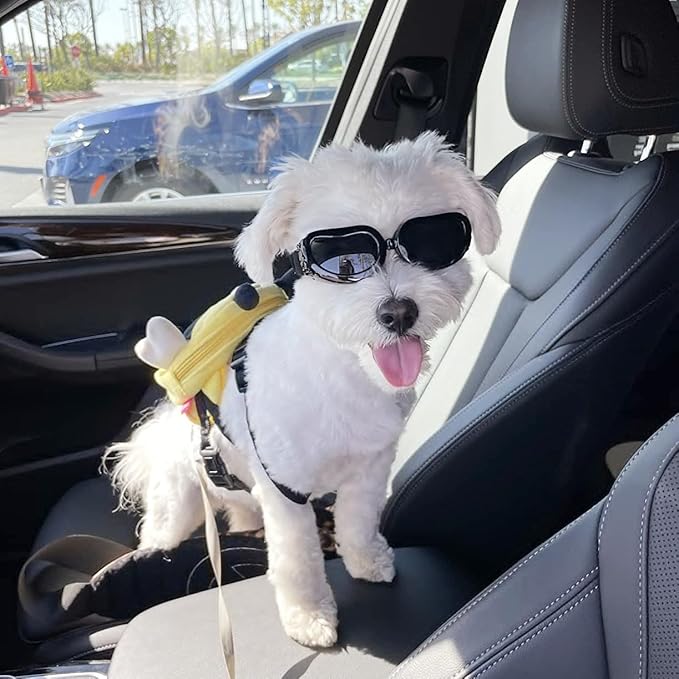 Enjoying Dog Goggles Small Breed, Dog Sunglasses UV Protection, Cycling Eye Protection for Small Dogs, Breathable Windproof Dustproof Anti-Fog, Adjustable Straps, Classic Black