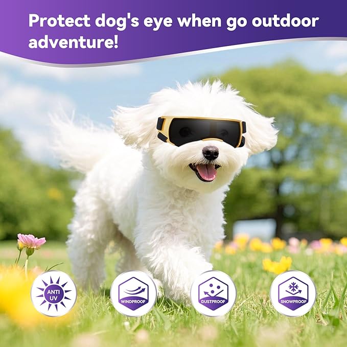 ENJOYING Dog Sunglasses Small Breed, Anti-UV Puppy Goggles for Small Dogs, Windproof Outdoor Dog Eye Protection for Driving Biking, Adjustable Head Straps, Cute Gold