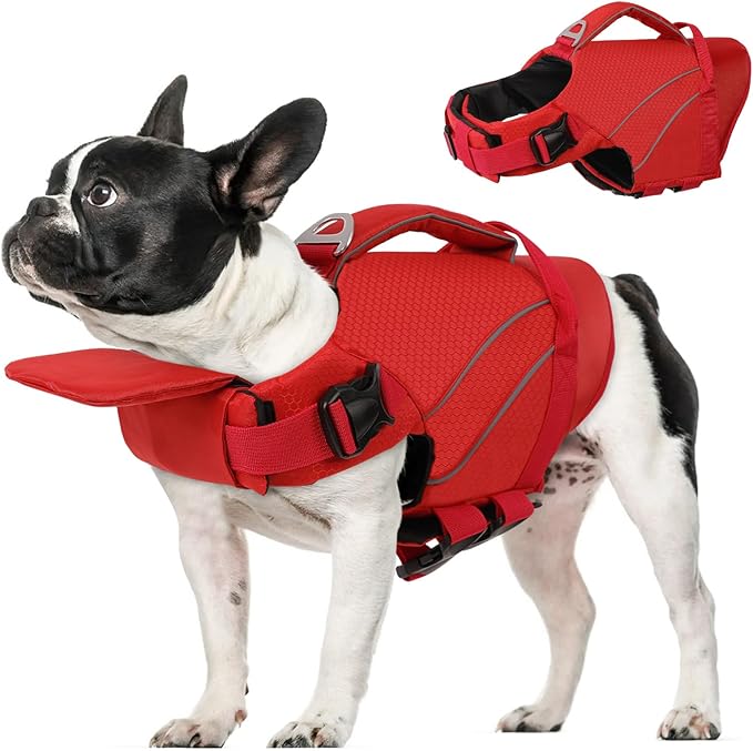 Queenmore Small Dog Life Jacket with Reflective Stripes, Adjustable Life Jacket for Small Dogs, Puppy Swimming Vest High Flotation, Pet Life Jacket with Front Neck Float (Red,S)
