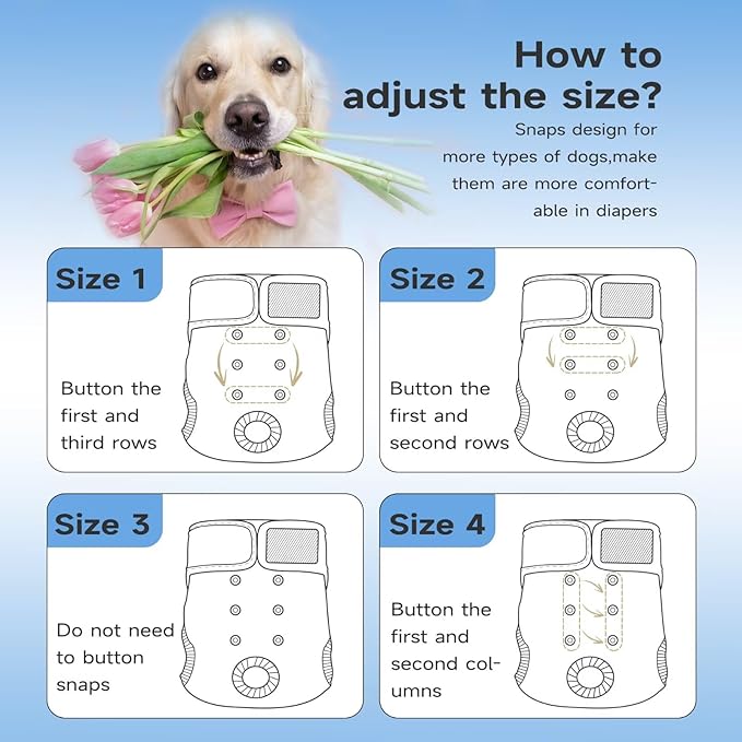 Paw Legend Washable Reusable Female Dog Period Diapers for Heat Doggie Puppy Diapers for Female Dogs (3 Pack, Small)