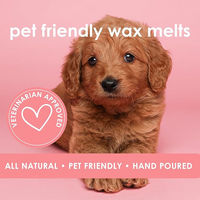 Sea Mist | Pet Friendly Wax Melts | Natural Soy | Clean Burning | Non-Toxic | Veterinarian Approved | Pet Odor Eliminator | Air Freshening Scented Wax Melts