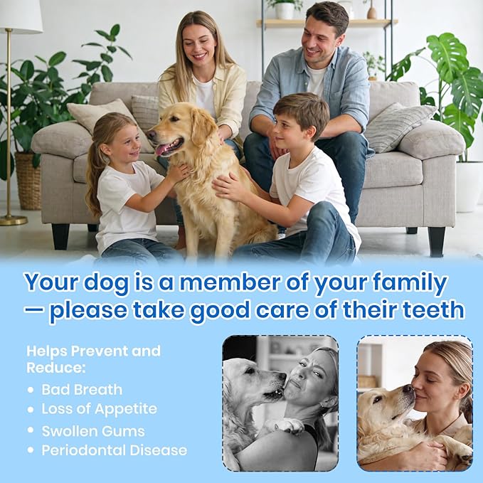 Dog Plaque Remover for Teeth,Pet Tooth Cleaner with LED Light,Cleaning Kit for Tartar and Stains,5 Adjustable Modes,Pet Teeth Cleaning kit,Suitable for Dogs and Cats (White)