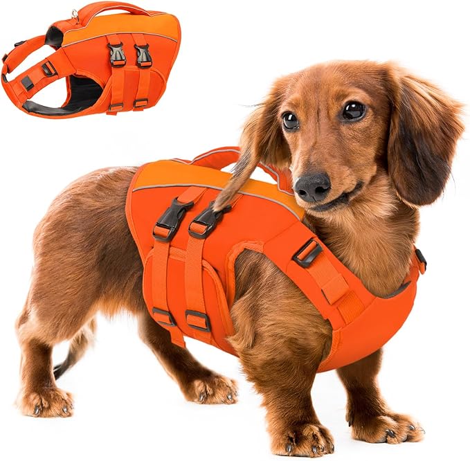Queenmore Dog Life Jacket,Pet Life Vest for Swimming,Adjustable Reflective Pet Swimming Vest,High Buoyancy Dog Life Jacket,Pet Life Preserver(Orange,M)