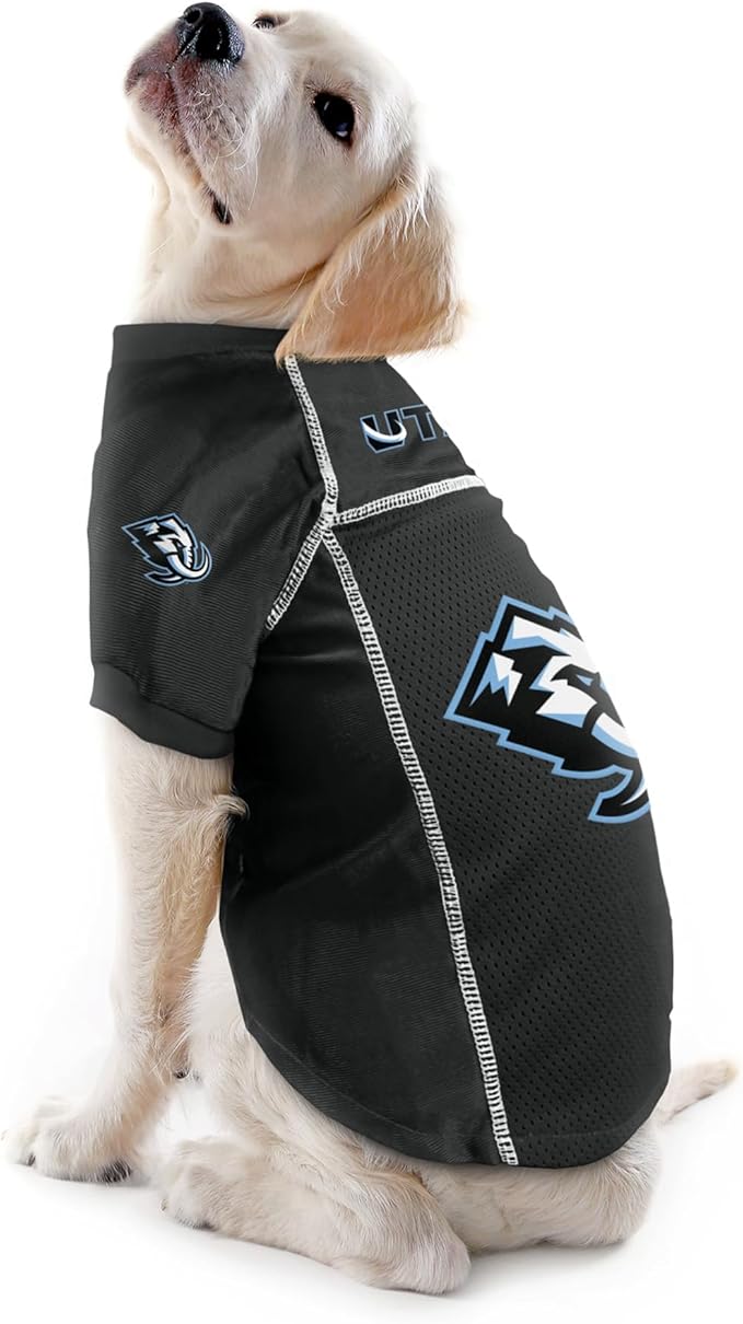 Littlearth NHL Detroit Red Wings Basic Pet Jersey, Team Color