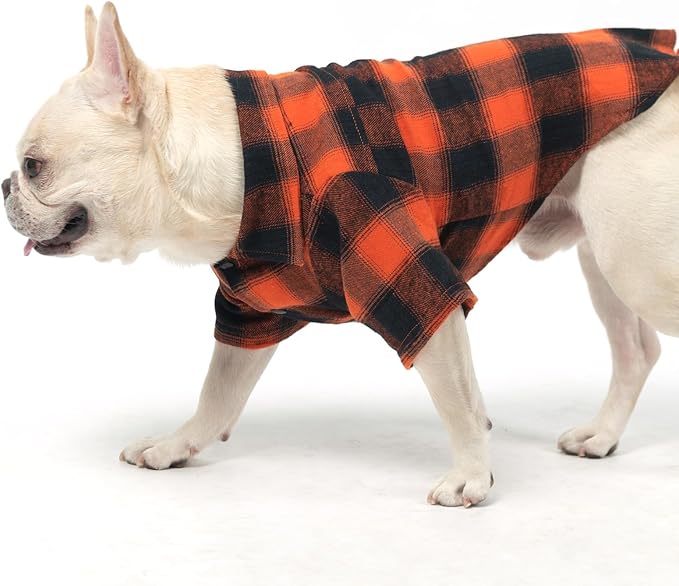 KOOLTAIL Fall Dog Shirt, Thanksgiving Orange Plaid Pet Shirts, Cute Dog Apparel Clothes Suitable for All Seasons, Comfortable Dogs T-Shirt for Small Medium Large Dogs Cats, Pet Outfit Costume, L
