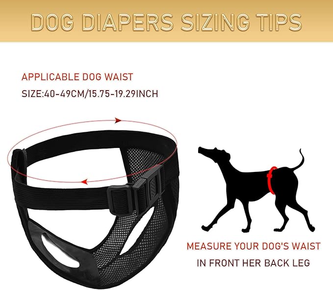 BLMHTWO 2PCS Dog Pants Dog Nappies, Dogs Period Pants with 6PCS Washable Female Dogs Season Pants Adjustable Protective Trousers for Female Puppy in Heat Monthly, Black, Blue