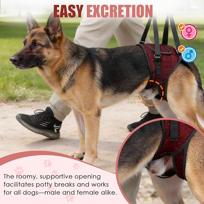 SlowTon Dog Lift Harness - Adjustable Dog Sling for Medium Large Dogs, Hind Leg Support to Help Rehabilitate, Soft Padded Dog Support Harness for Elderly, Injured, Arthritic, Disabled Dogs(R,L)