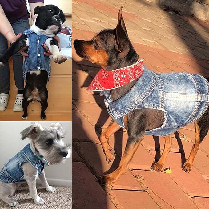 Jean Jacket for Dogs, Blue Denim Lapel Vest Coat Costume, T-Shirt Clothes, Cool and Funny Apparel Outfits, Machine Washable for Small Medium Dogs Cats (XXL)