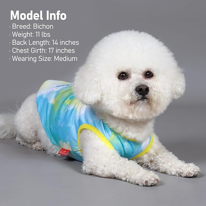 KYEESE 2Pack Dog Cooling Shirt, Breathable Dog Shirt for Small Medium Dogs, Sun Protection Dogs Cooling Vest Tank Top, Lightweight Soft Sleeveless Summer Pet Clothes, Purple+Blue, XL