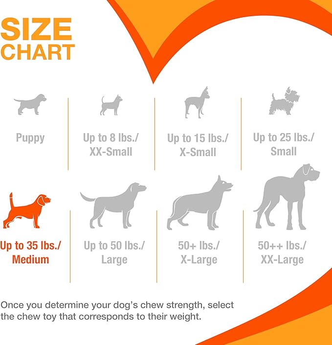 Nylabone Puppy Stages Chew Toy Set, Teething and Chewing Toys for Growing Puppies, Chicken, Maple Bacon, & Beef Jerky Flavors, Medium Dogs - Up to 35 lbs., 3 Pack