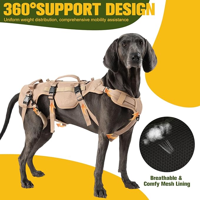 BINGPET Dog Lift Harness for Large Dogs,Full Body Support Rehabilitation Dog Sling Carrier with Handles,Reflective Multifunctional Mobility Assistance Vest for Senior Pets Joint Injuries,Arthritis,XL