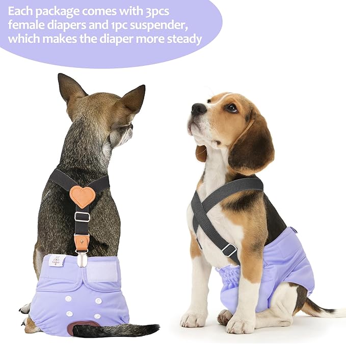 CuteBone Dog Diapers Female 3 Pack Reusable Doggy Diapers with One Suspender for Small Medium Large Dog Period BDD01S