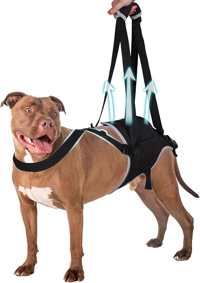 Dog Lift Harness for Large Dogs, Hind Leg Support to Help Rehabilitate, Hip & Back Leg Joint Injury Dog Lift, Reflective Rear Limbs of Elderly Dogs with Weak Hind Legs ACL Brace