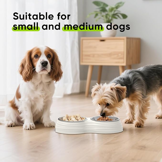 Stainless Steel Dog Bowls Set, Double Food & Water Bowls for Dogs, Dual Dog Food Bowl with 2 Small (6oz*2) Bowl, Non-Slip Pet Bowls Suitable for Puppies, Kittens and Small Breed Dogs (White)