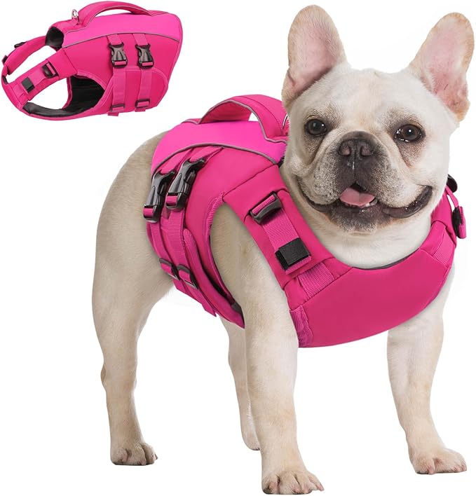 Queenmore XS Dog Life Jacket,Reflective Small Dog Life Vest for Swimming Boating，Adjustable Pet Life Vest for Extra Small Dogs with High Buoyancy,Safety Dog Swimming Vest with Handle(Rosered,XS)