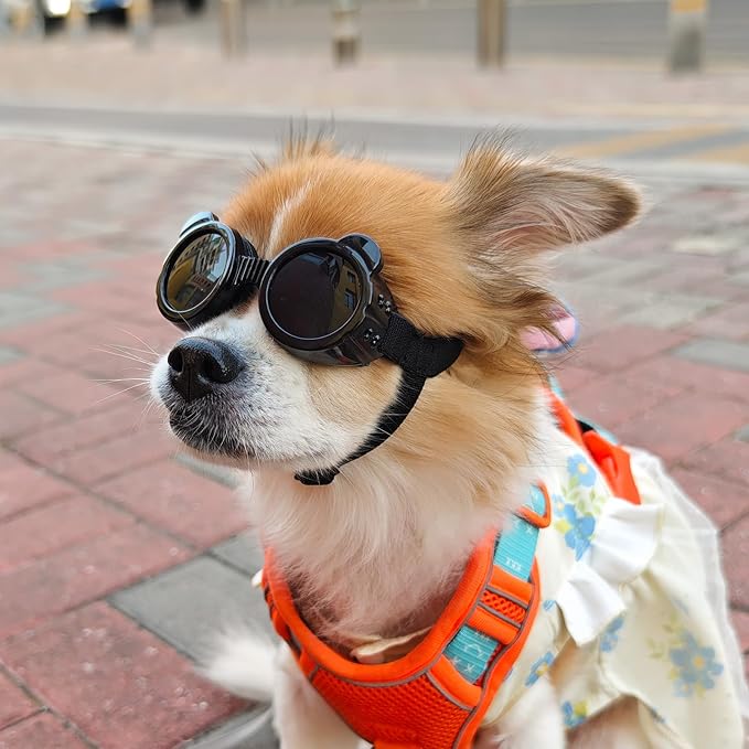 Enjoying Dog Goggles Extra-Small to Small Breeds, Dog Sunglasses UV Protection, Driving Eye Protection for Little Dogs, Breathable Windproof Dustproof Anti-Fog, Adjustable Straps, Panda Black