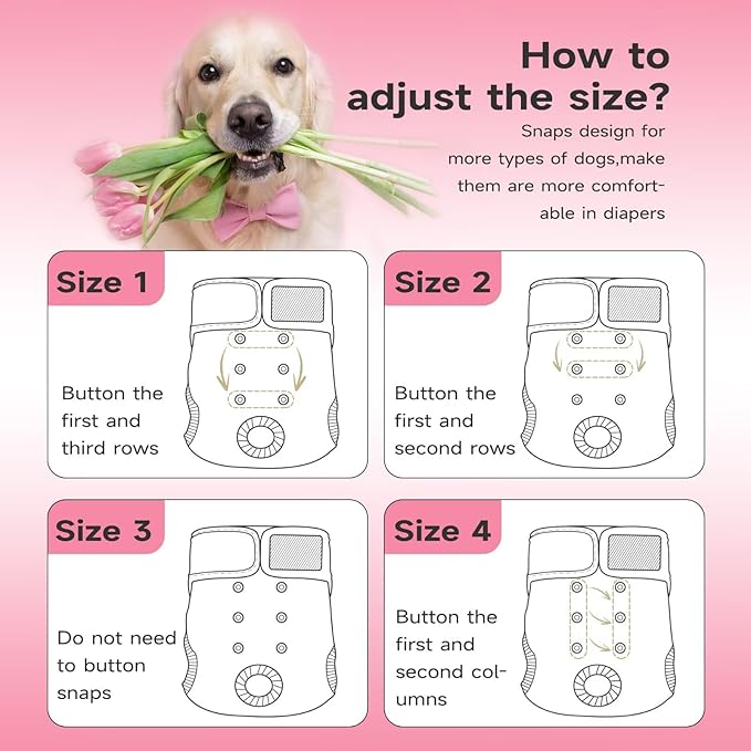 Paw Legend Washable Reusable Female Dog Period Diapers for Heat Doggie Puppy Diapers for Female Dogs (3 Pack, Medium)