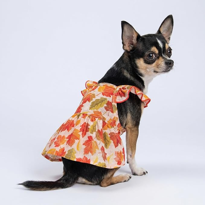 Fitwarm Maple Dog Dress, Ruffled Doggy Thanksgiving Dress, Fall Dog Clothes for Small Dogs Girl, Pet Outfit, Red, Orange, Small