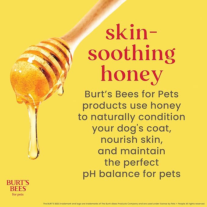 Burt's Bees for Pets Dog Detangling Spray, Natural Leave-In Coat Detangler & Dog Deodorizing Grooming Spray with Lemon, pH Balanced for Dogs, Paraben & Sulfate Free, 10 Fl Oz - 2 Pack