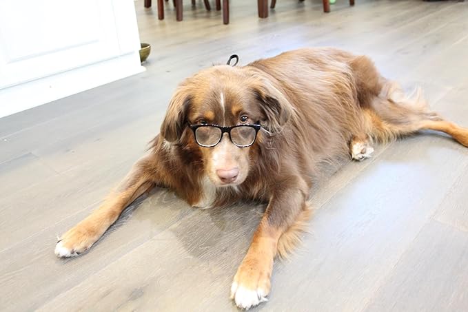 G003 Dog Glasses Medium Breeds 18-40lbs Pet Cat Retro Hipster Nerd Costume Prop Clear Lens (80s Black-Clear)