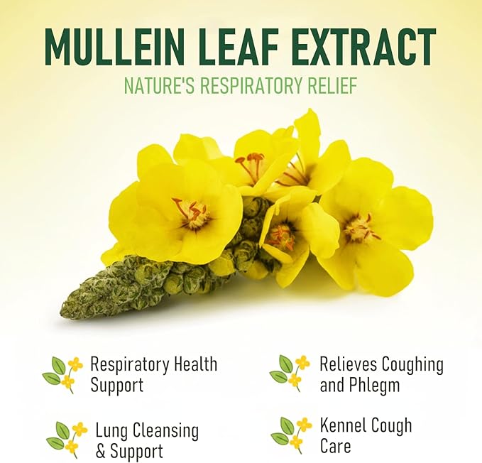 Mullein Lung Support Drops for Dogs & Cats, Relieves Kennel & Dry & Wet Cough, Lung Cleanse, Soothes Sore Throat, Eases Breathing - Pure Plant Extract, Hormone & Chemical Free, with Chlorophyll