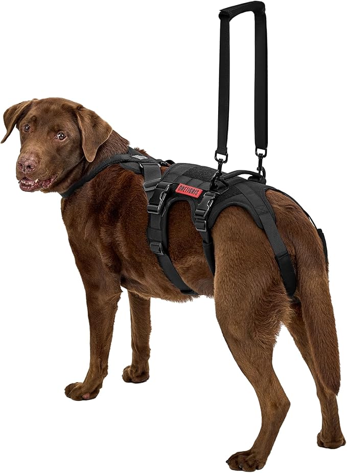OneTigris Dog Support Harness for Back Legs, Dog Lift Sling for Large Dogs Hind Legs, Canine Dogs Hip Support Brace Ideal for Elderly Injured Arthritic Provides (Black, L)