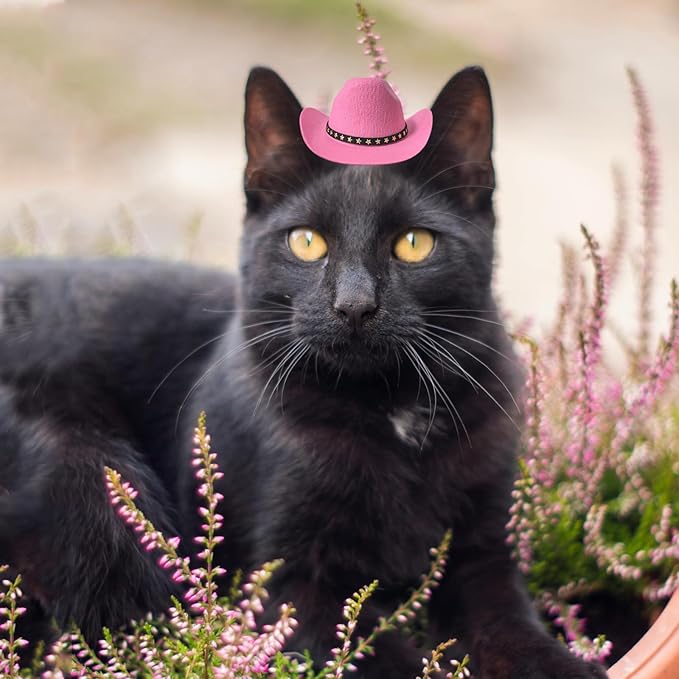 Dog Cowboy Hat Cat Cowboy Hat Pet Cowboy Costume Mini Cowboy Hat for Dogs Cat Holiday Halloween Pet Party Decoration (Pink, Small)