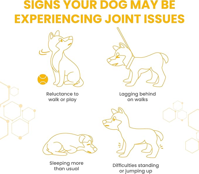Vetzyme Dog Flexible Joint With Glucosamine