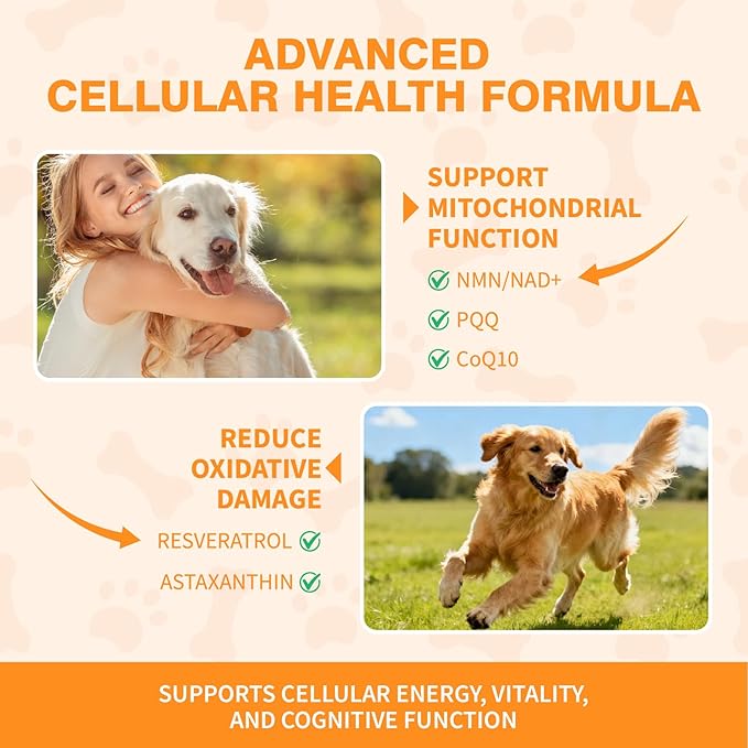 Mature Dog Vitality Drops -Healthy Aging,Cellular Energy & Antioxidant Support with NMN,NAD+ & CoQ10-60ml（2 FL OZ