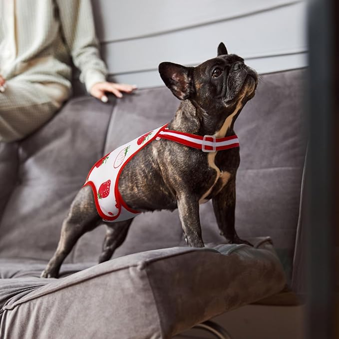 QBLEEV Dog Diapers Female Washable Sanitary Pantie with Adjustable Suspender, Reusable Doggie Period Panties, Pet Underwear Diaper Jumpsuits for Male Dogs in Heat, Puppy Diapers for French Bulldog M