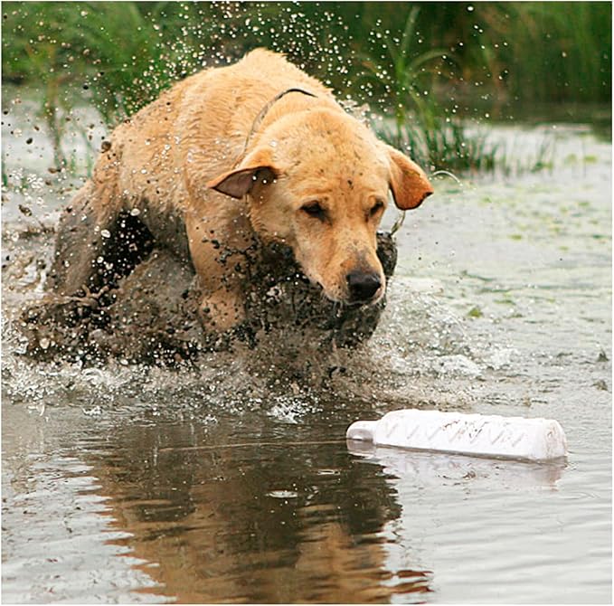 Avery ASD 2" HexaBumper Hunting Sporting Gun Dog Game Retriever Dummy | Water & Upland Mark Training Retrieval Tool | Hexagonal, Floating Design, Easy-Grip Texture, Throw Rope, White (02701)